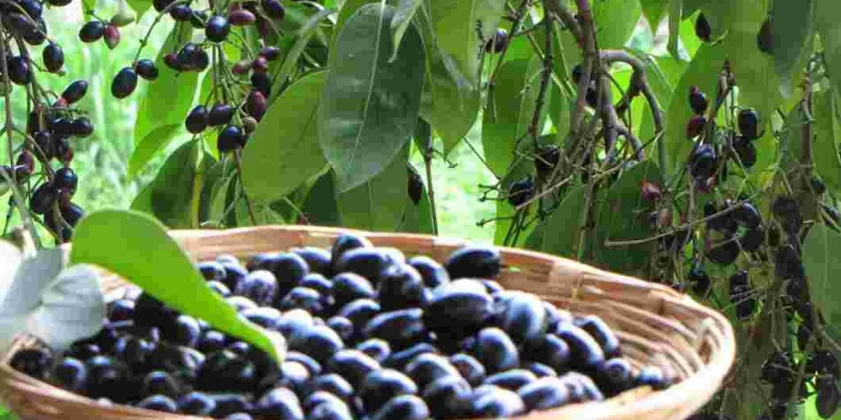 The Advantages of Jamun Fruit for Health.