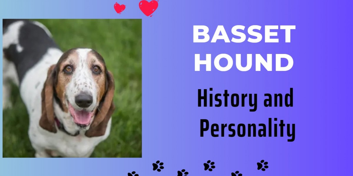 Understanding the Basset Hound: History and Personality