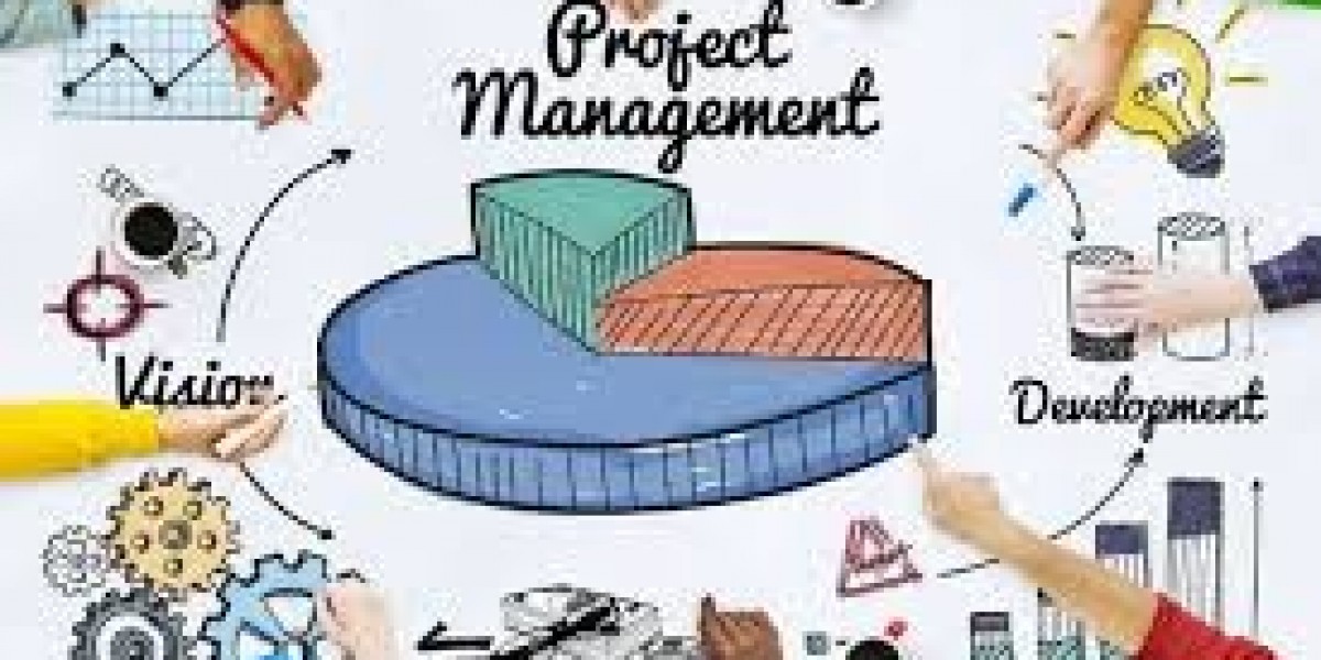 Project Management Assignment Help: Navigating the Complexities of Project Delivery