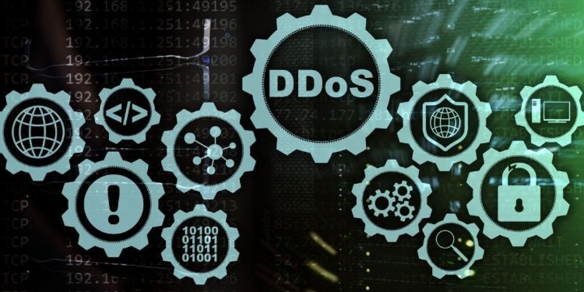 DDoS Protection and Mitigation Solution Market: Growth Insights