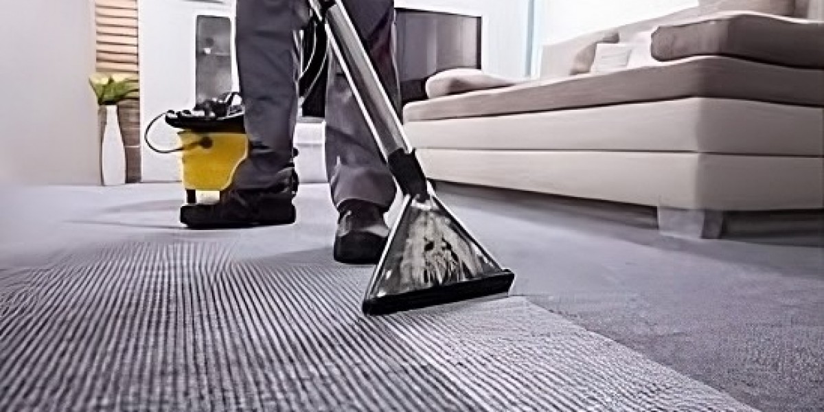 Carpet Cleaning Pros: Unveiling the Best Rug Cleaning Services in Asheville