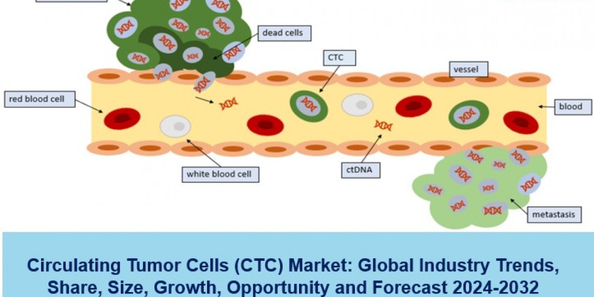 Circulating Tumor Cells (CTC) Market Size, Trends and Forecast 2024-2032