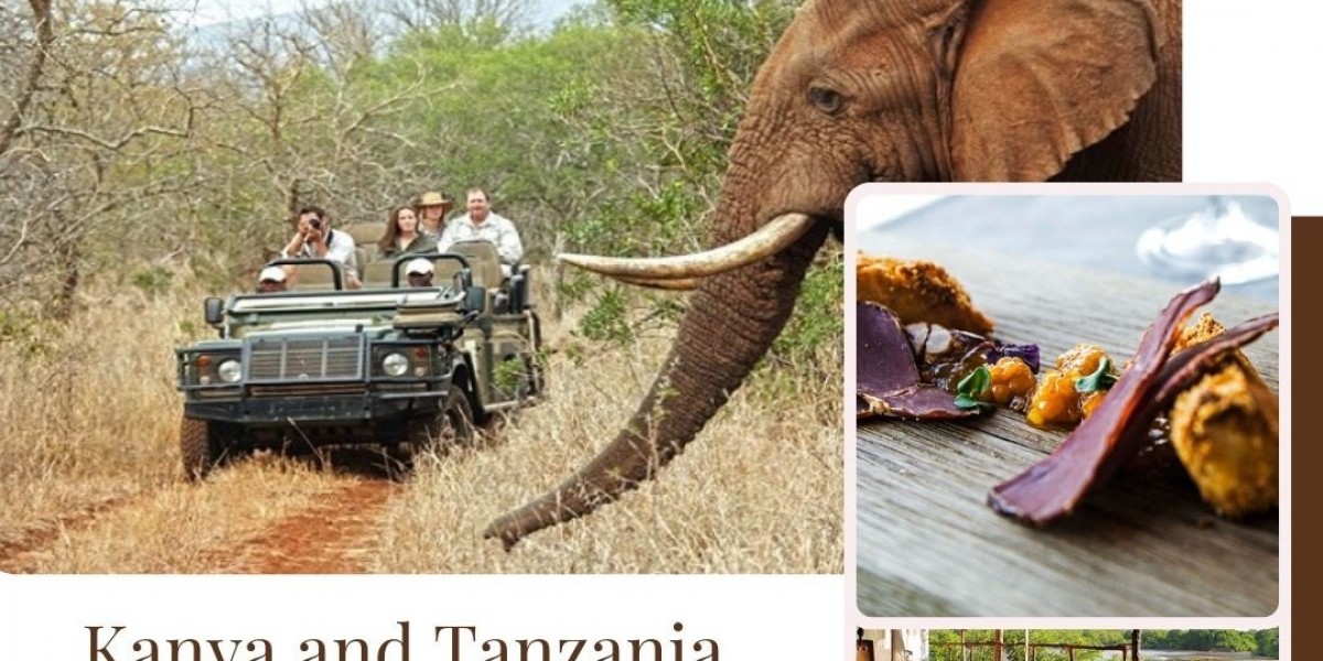 Discover the Magic of Kenya with Ashford Tours