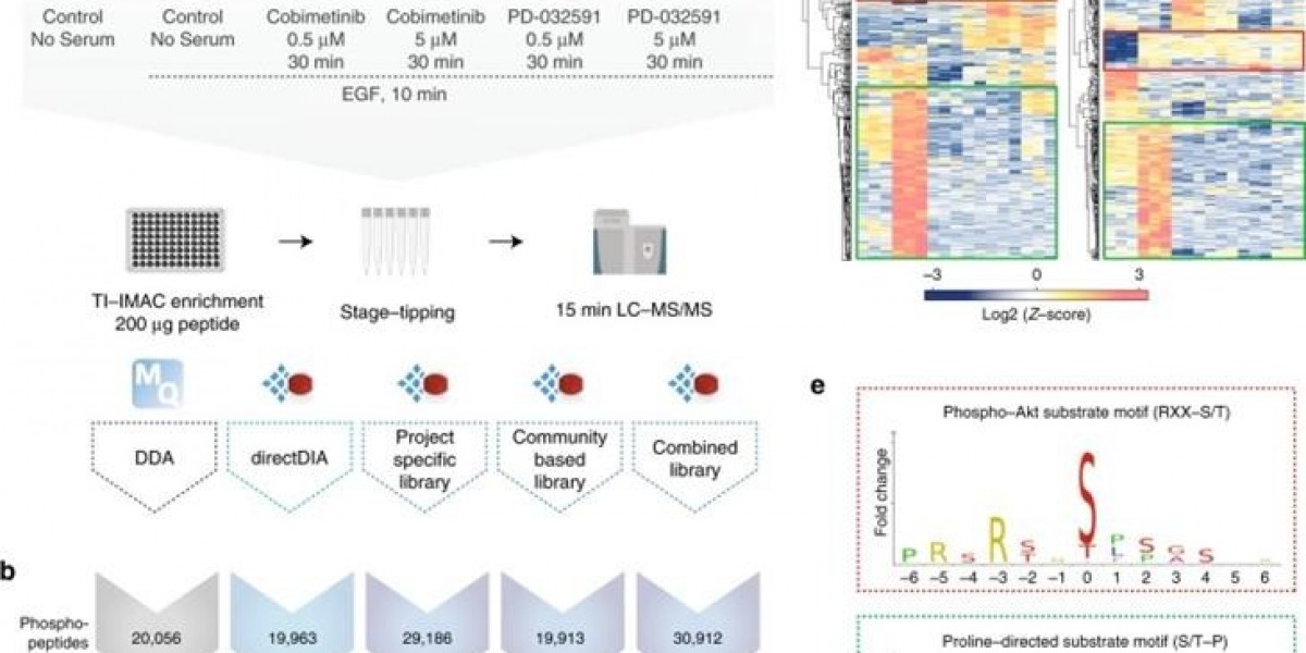 SWATH/DIA For Large-Scale Breast Cancer Subtyping