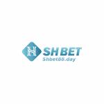 shbet88day profile picture