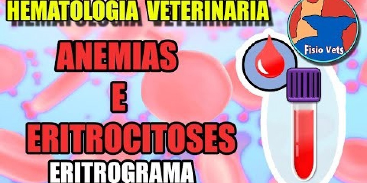 Desvendando o Eletrocardiograma Canino: Como o Procedimento Revela a Saúde do Seu Melhor Amigo