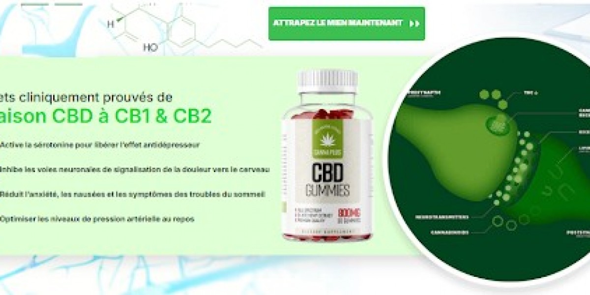 Canna Plus CBD Gummies |Lire les principaux ingrédients et l'offre spéciale