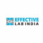 Effective Lab India profile picture