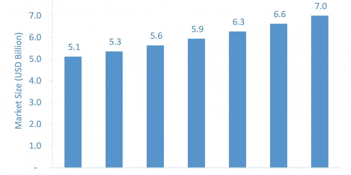 Ambulatory EHR Market: Trends and Growth Opportunities in 2024