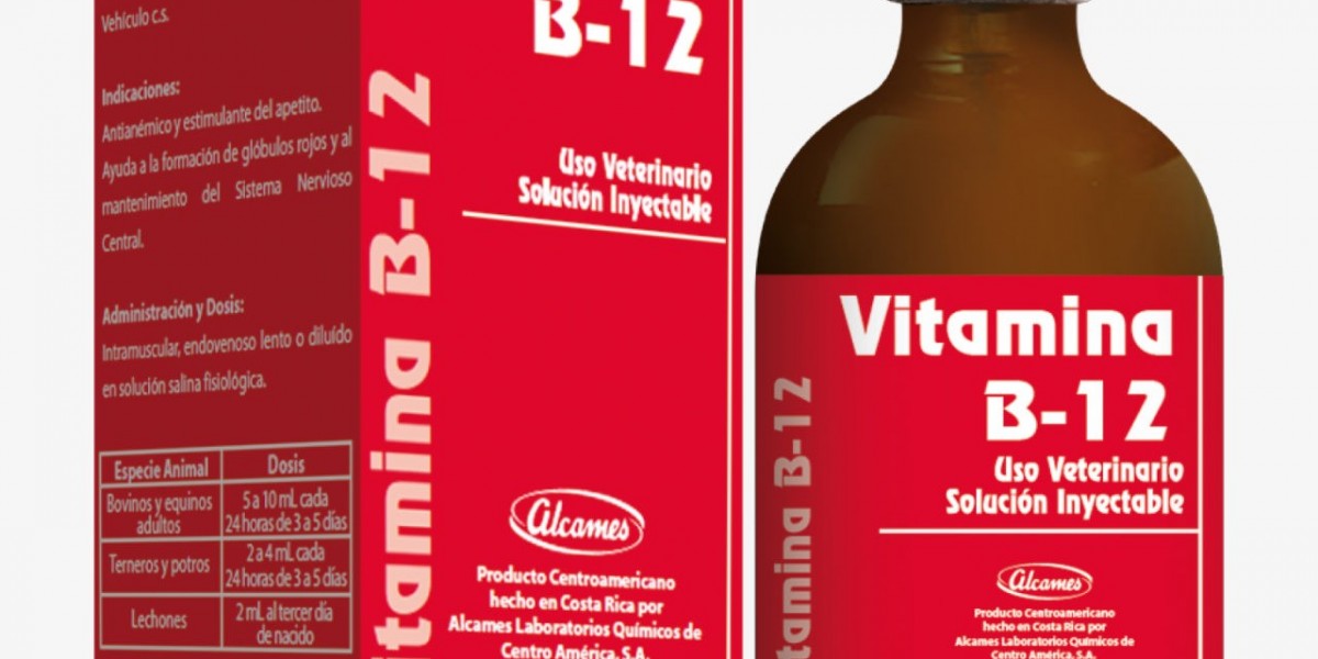 Beneficios y usos de las cápsulas de vitamina B12: todo lo que necesitas saber