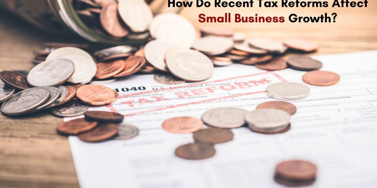 How Do Recent Tax Reforms Affect Small Business Growth?